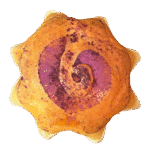 Sticky Rice and Mochi Bun